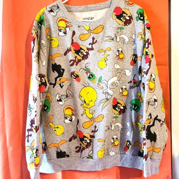 Warner Bros. Looney Tunes Gray Sweatshirt - Picture 1 of 4